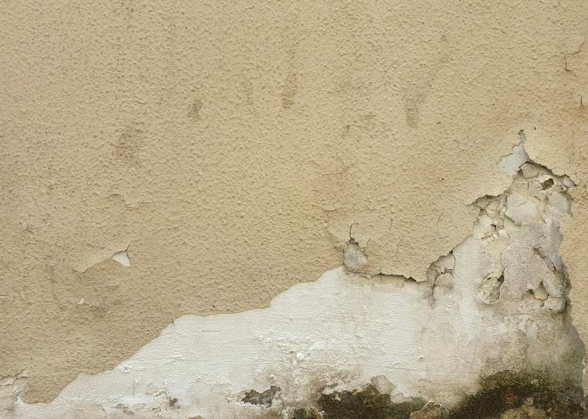 Signs of Water Damage in Walls: Protecting Your Peaceful Home