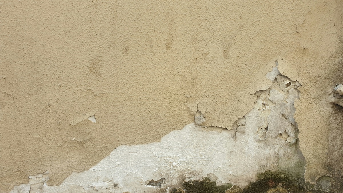 Signs of Water Damage in Walls: Protecting Your Peaceful Home